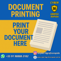PRINT DOCUMENT